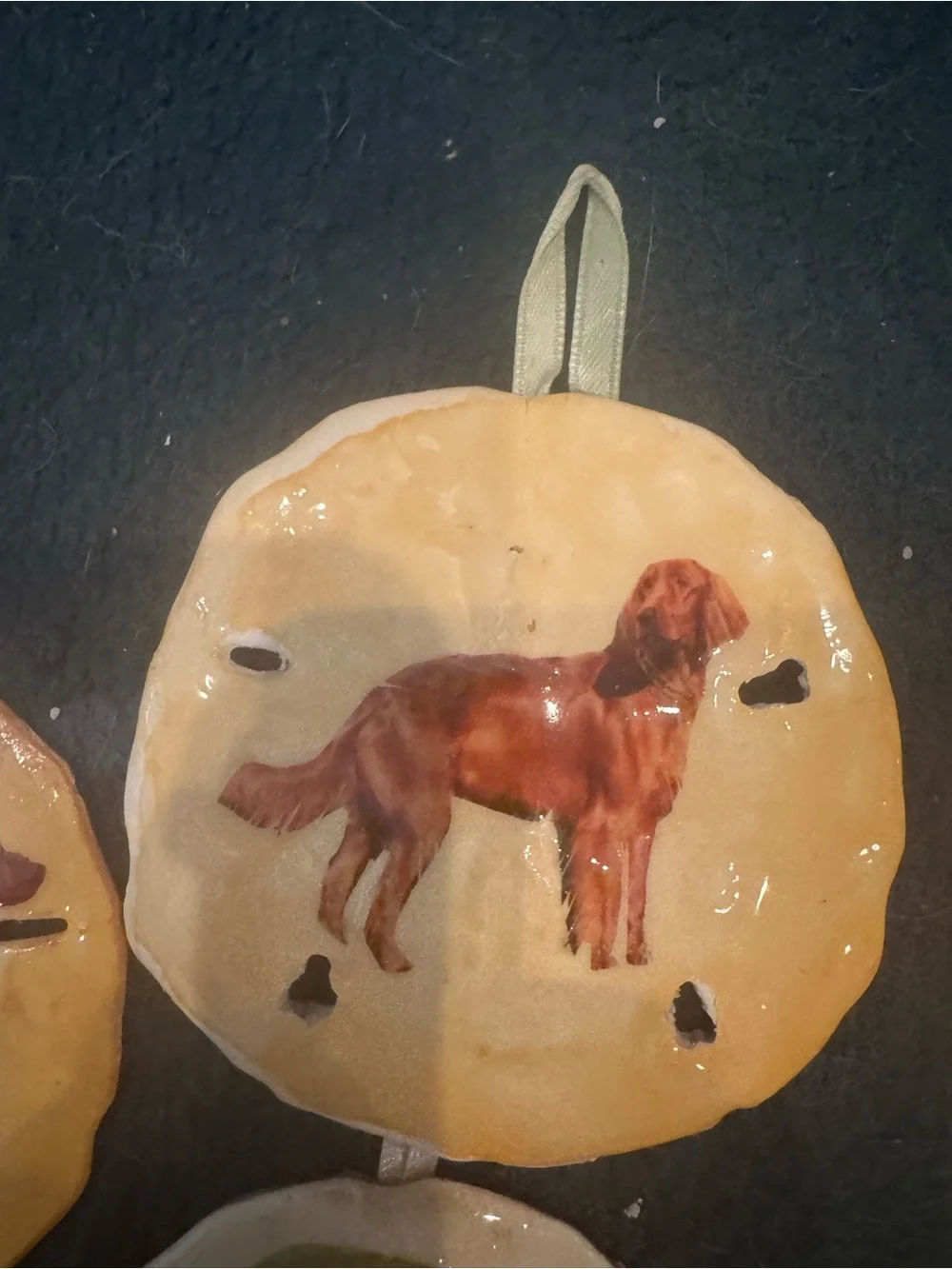 Handmade Golden Retriever real  Sand Dollar Dog Ornament s